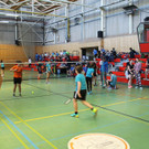 Badminton LM 003 verkleinert.jpg