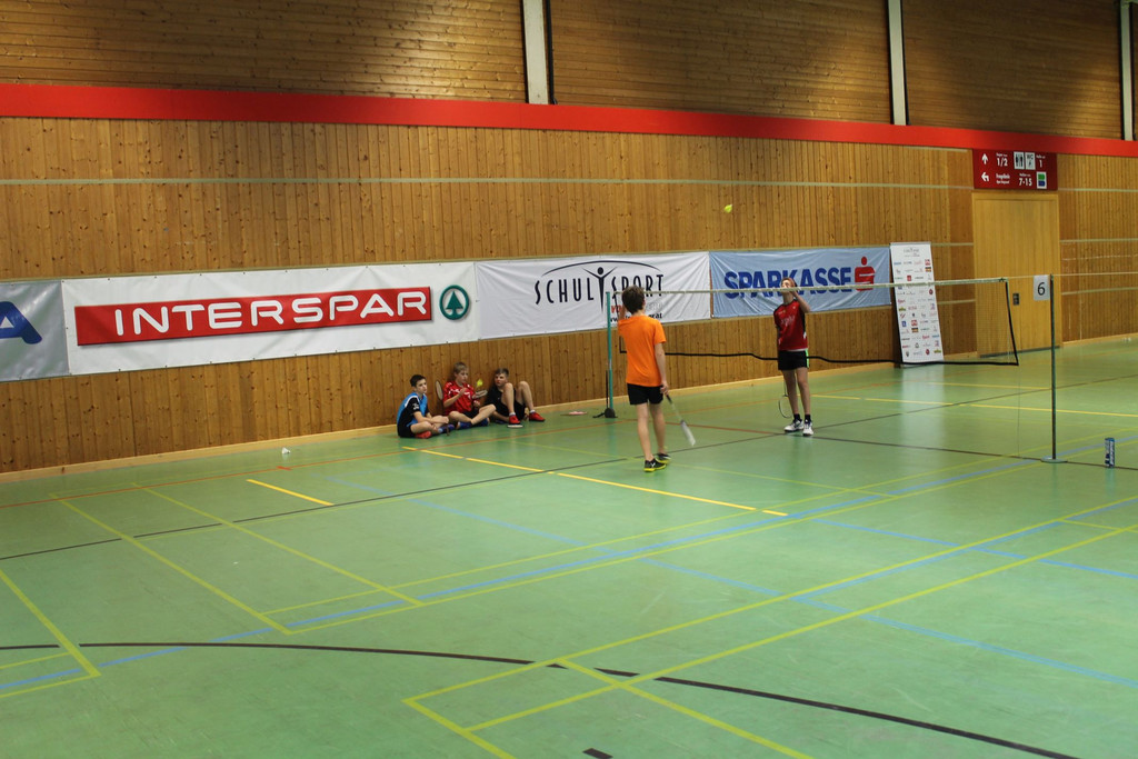 Badminton LM 004 verkleinert.jpg