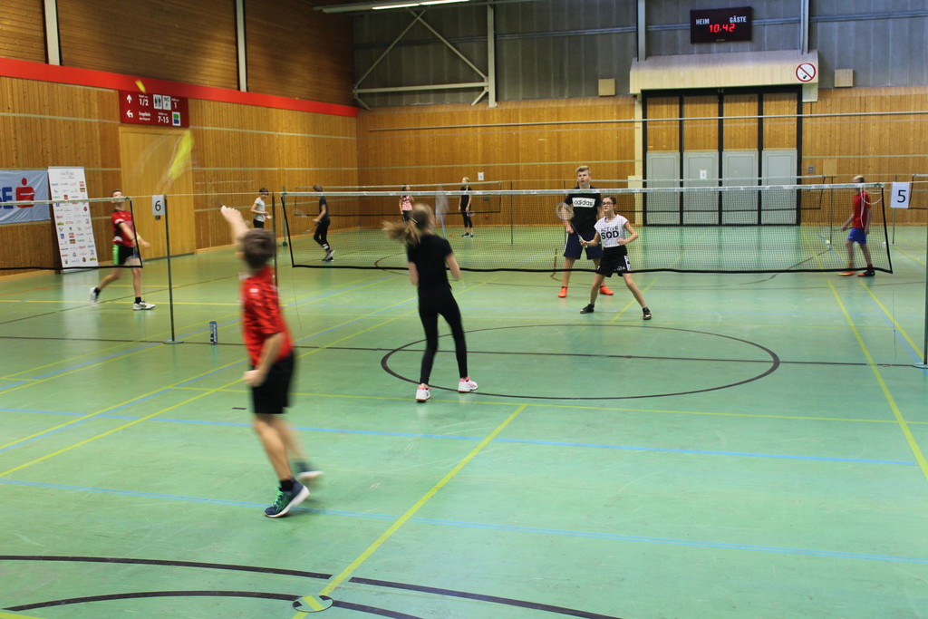 Badminton LM 005 verkleinert.jpg