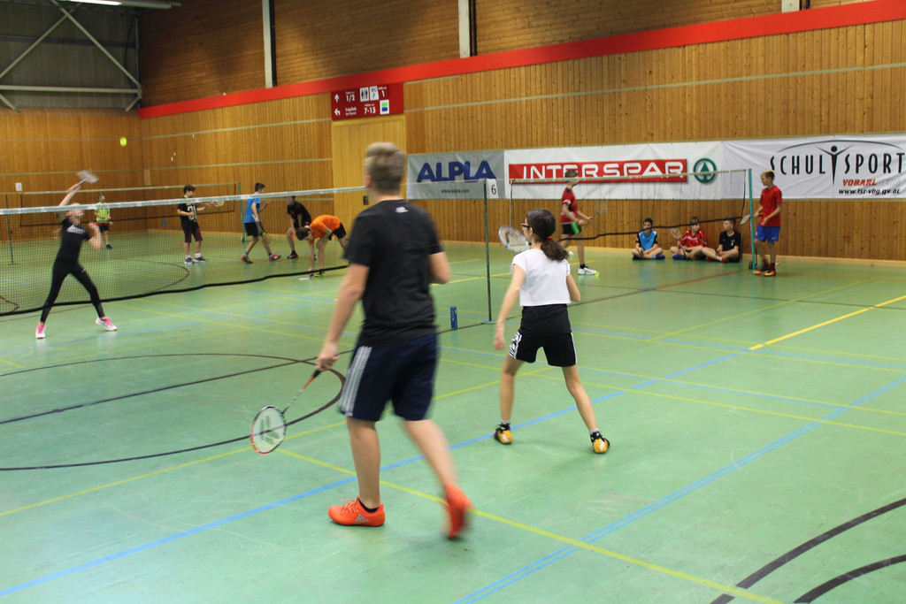Badminton LM 008 verkleinert.jpg