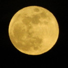 DSCN0390.jpg