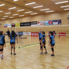LM Volleyball OS002.jpg