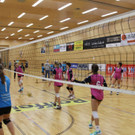 LM Volleyball OS003.jpg