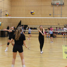 LM Volleyball OS005.jpg
