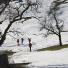 08-IMG_7251.JPG