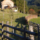 Obstgarten1.jpg