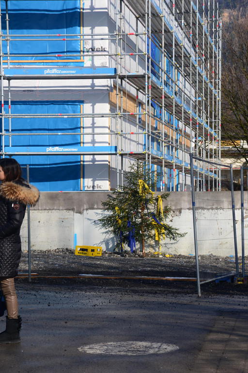 2018-02-02 Wolfurt Campus Buetze 6354.jpg