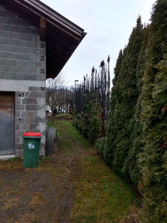 IMG_20180203_103409319_HDR.jpg
