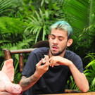 1366041.jpg