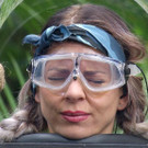1366015.jpg