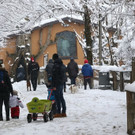 20180205fmt_winterzoo_ta_006.JPG