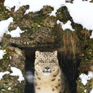 20180205fmt_winterzoo_ta_010.JPG