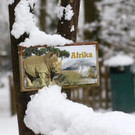 20180205fmt_winterzoo_ta_014.JPG
