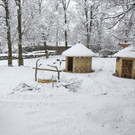20180205fmt_winterzoo_ta_023.JPG