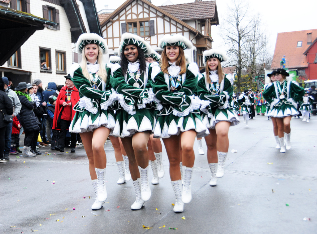 Umzug Hard 03-02-18 119.jpg