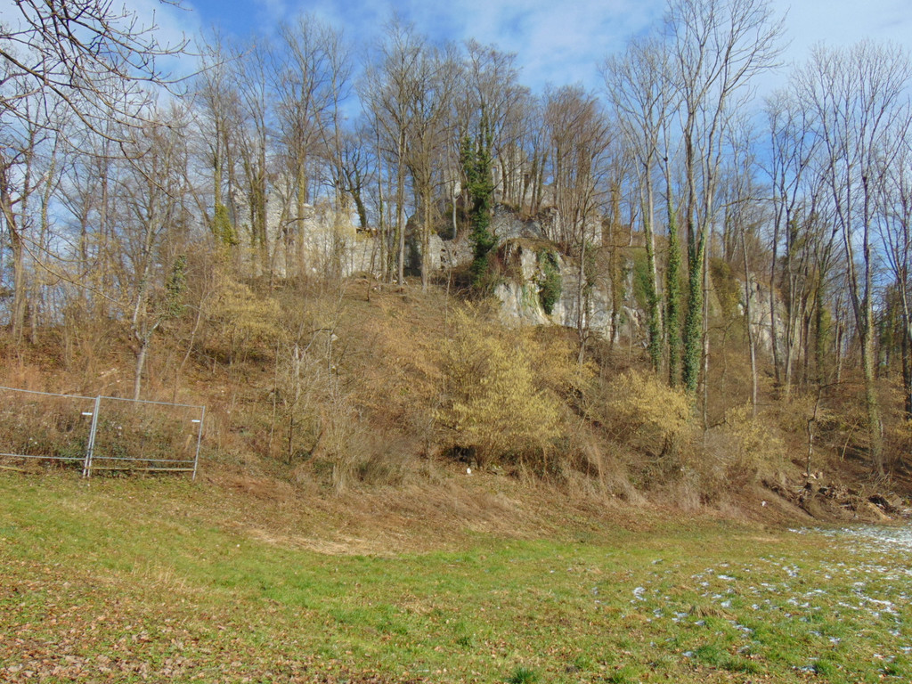 DSC05660.JPG