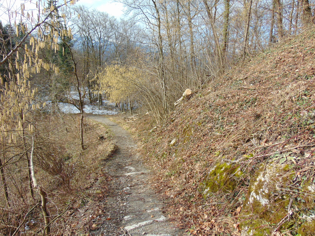 DSC05661.JPG