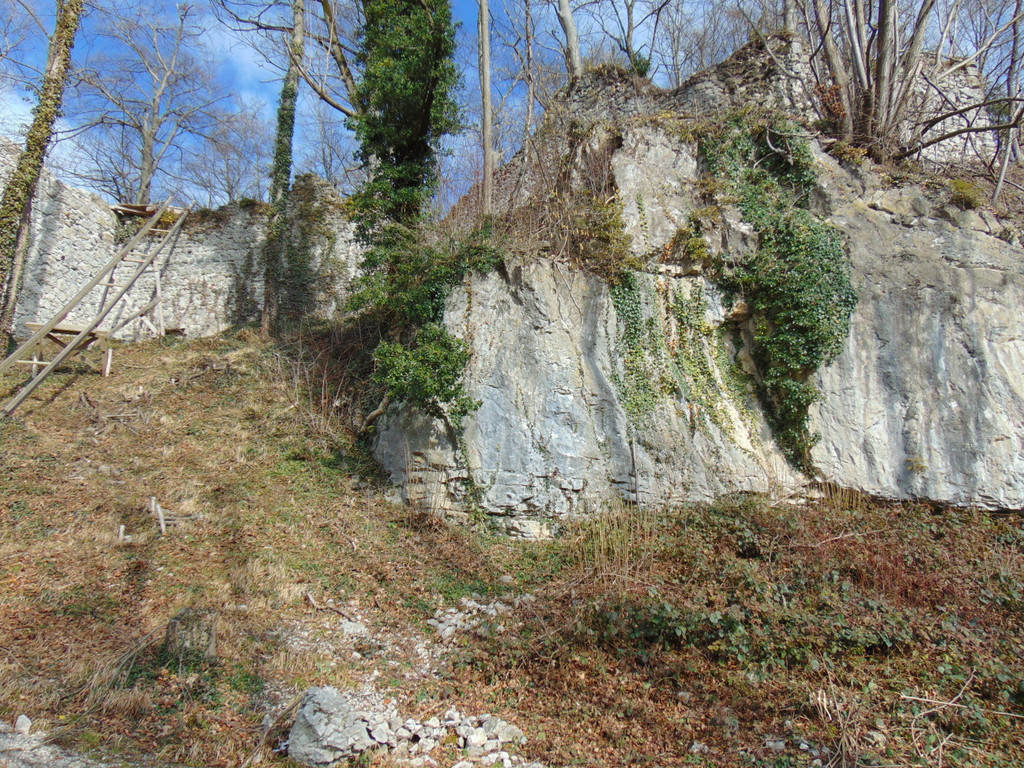 DSC05663.JPG