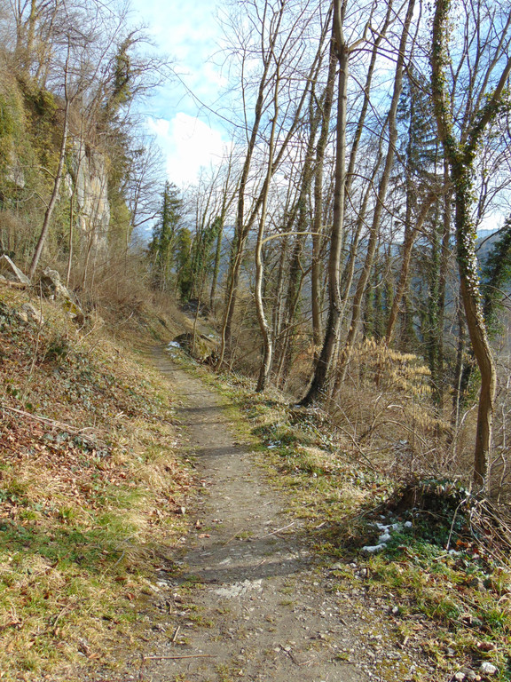DSC05664.JPG