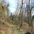 DSC05664.JPG