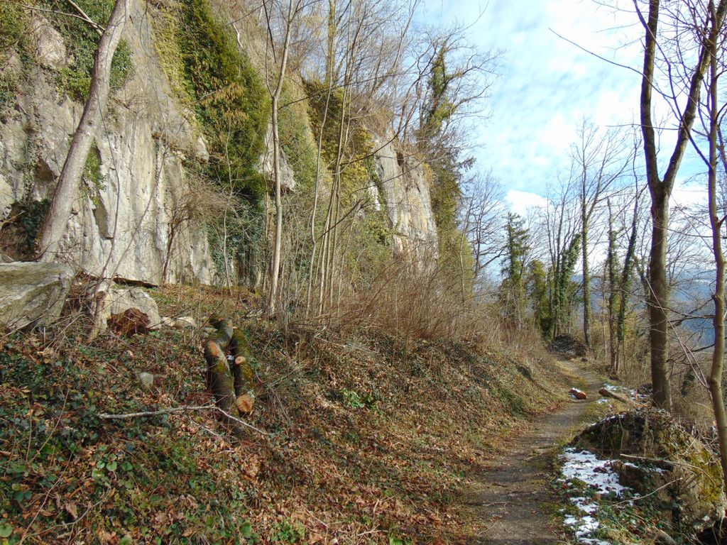DSC05665.JPG