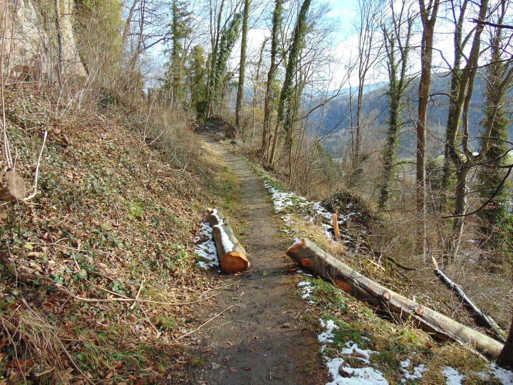 DSC05666.JPG