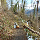 DSC05666.JPG