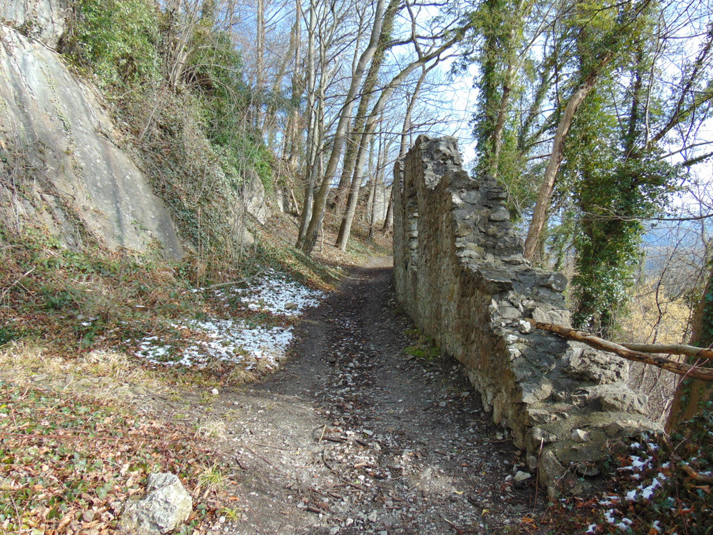 DSC05667.JPG