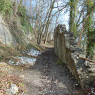 DSC05667.JPG