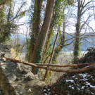 DSC05668.JPG