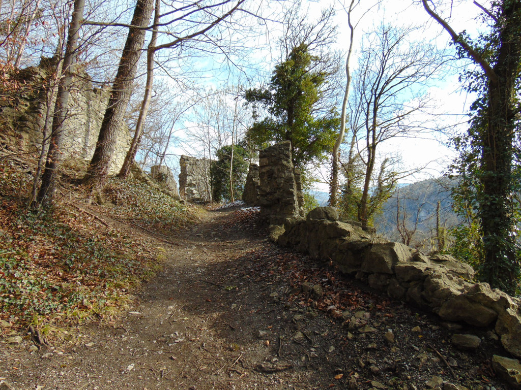 DSC05669.JPG