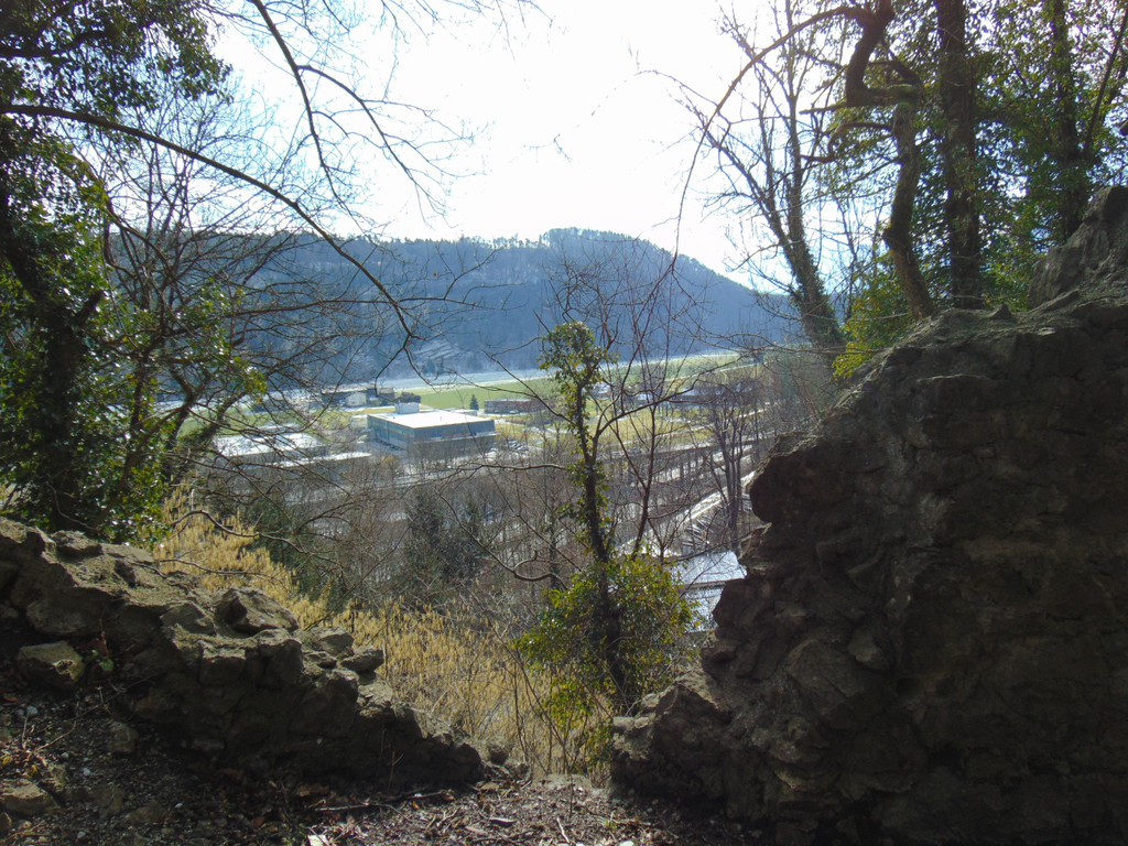DSC05670.JPG