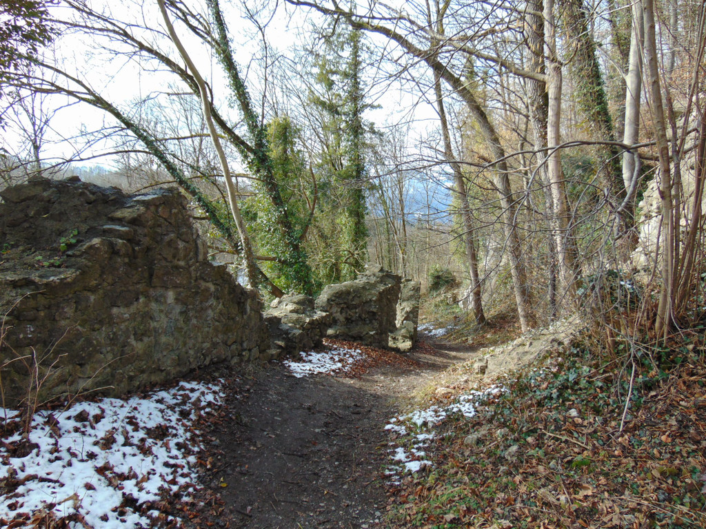 DSC05672.JPG