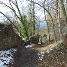 DSC05672.JPG