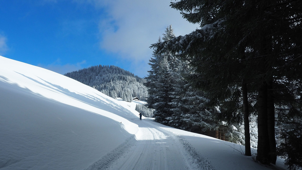 _winterwanderweg05.jpg