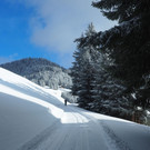 _winterwanderweg05.jpg