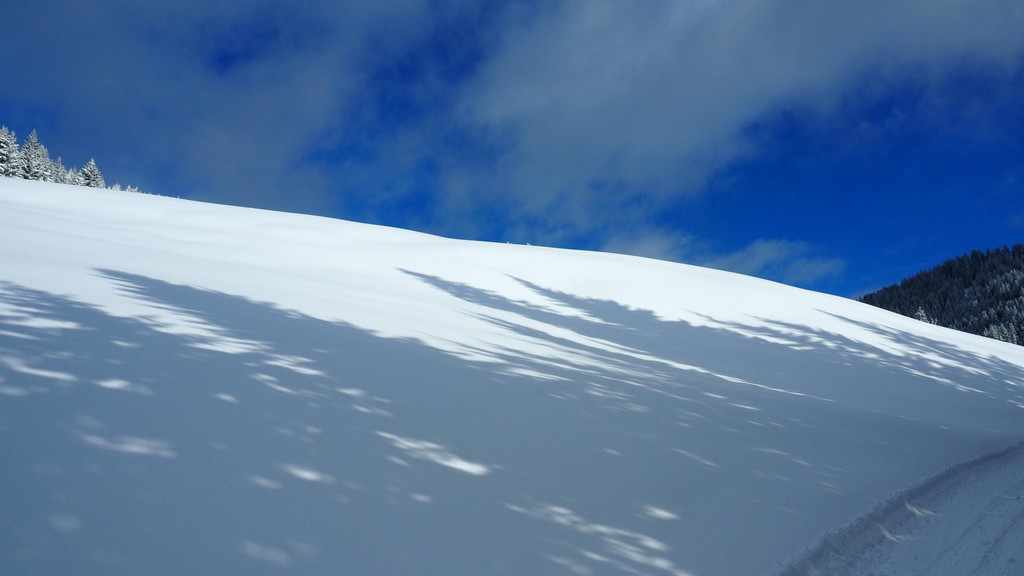 _winterwanderweg06.jpg