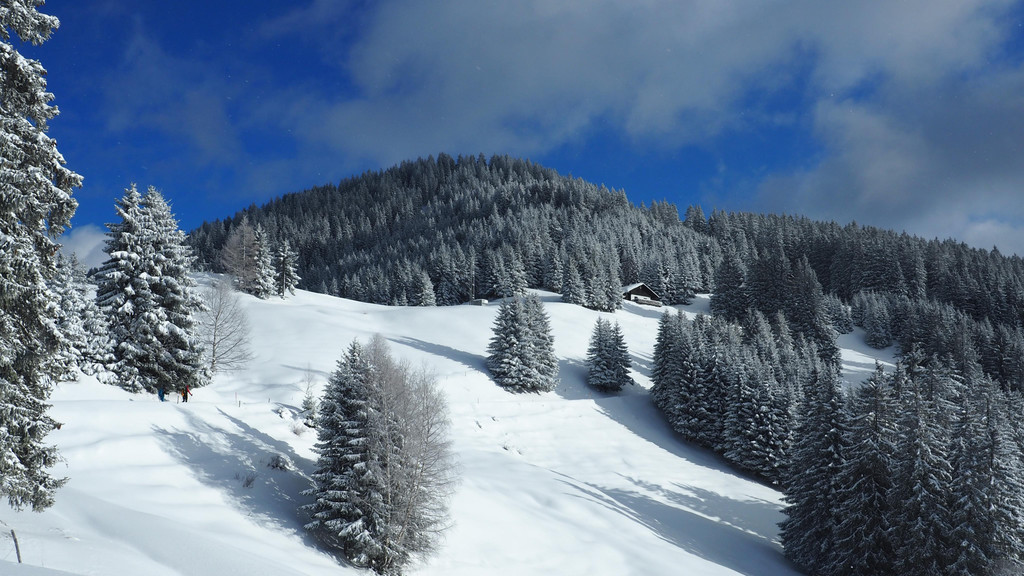 _winterwanderweg07.jpg
