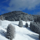 _winterwanderweg07.jpg
