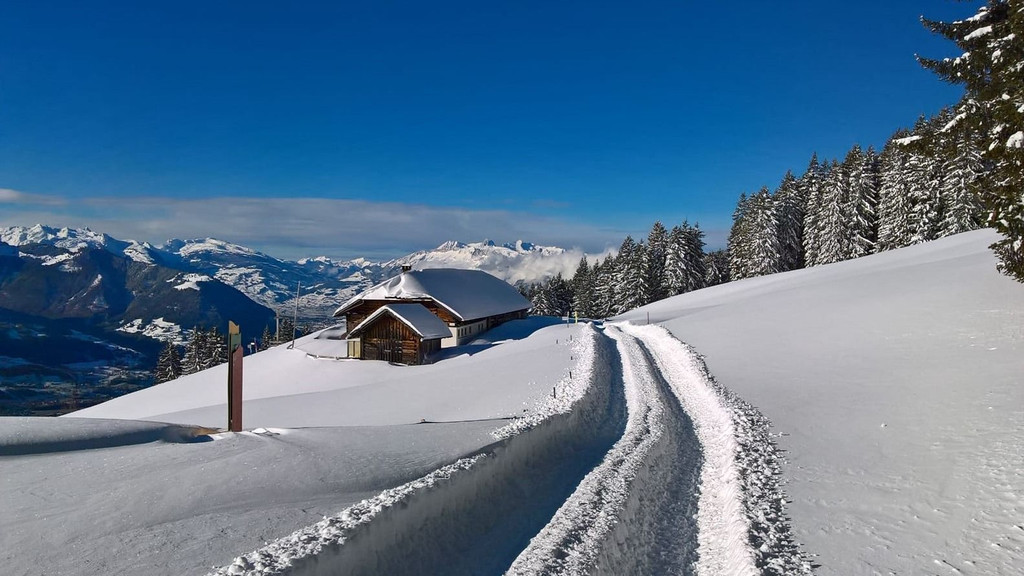 _winterwanderweg15.JPG