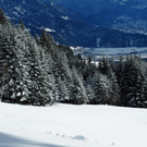 _winterwanderweg17.JPG