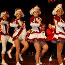 Die Garde von der Waterkant.JPG