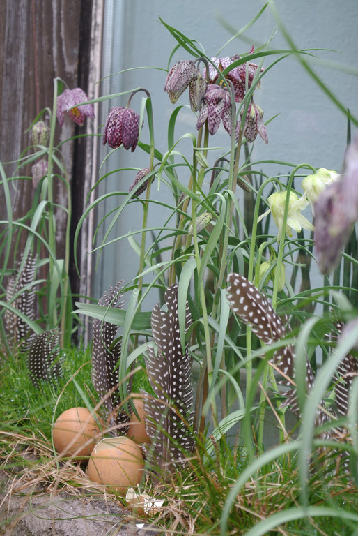 DSC_6297.JPG