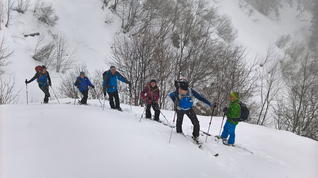WP_20180203_11_41_28_Pro.jpg