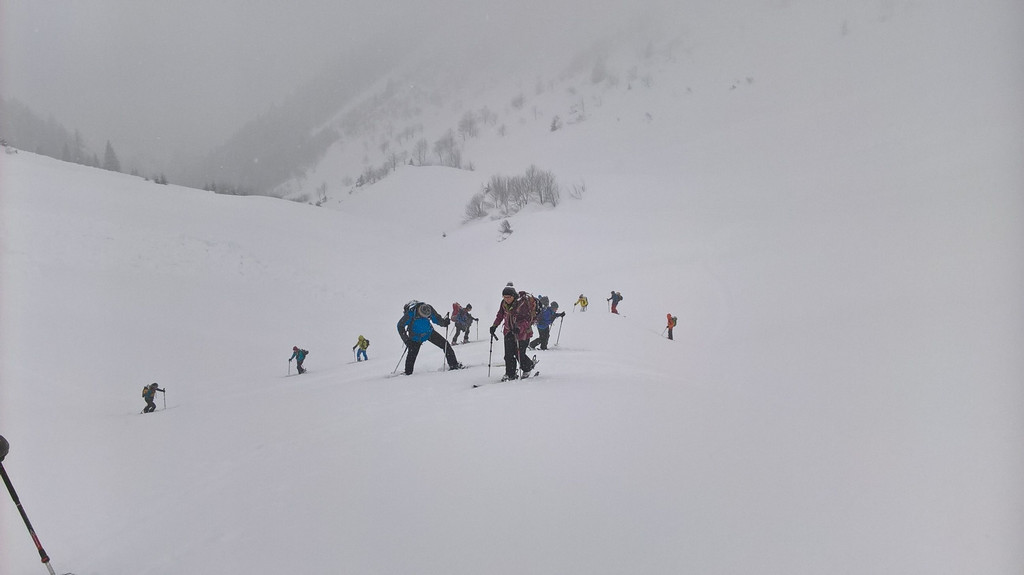 WP_20180203_12_16_26_Pro.jpg