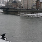 20180207fmt_personsalzach_ta_008.JPG