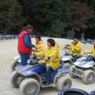 890667.jpg