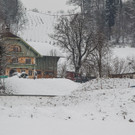 Forstunfall in Thalgau