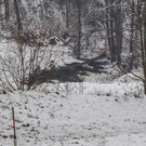 20180208_fmt_toedlicher_forstunfall_thalgau_mw-4.jpg