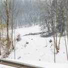 20180208_fmt_toedlicher_forstunfall_thalgau_mw-7.jpg